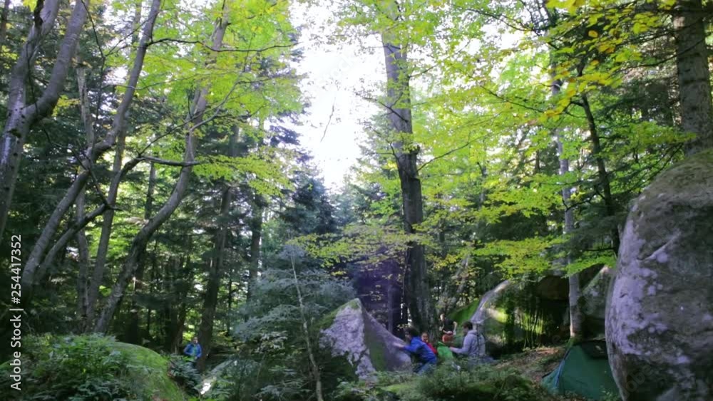 couple climbers climbing on the rocks in wilderness landscape forest . old cliff and moss covered rocks in the dramatic magic woods. couple climbers climbing on the rocks in wilderness landscape forest . old cliff and moss covered rocks in the dramatic magic woods.