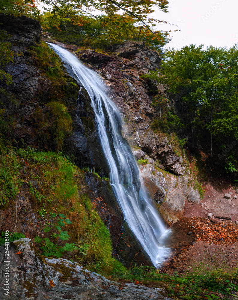 Fototapeta premium waterfall in forest