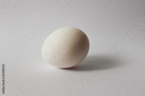 one white egg on white background