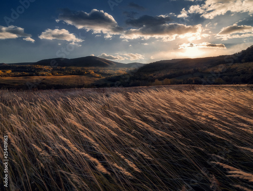 sunset on the meadows 