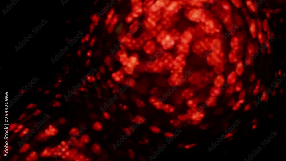 Abstract red burning up background Full HD video in slow Blazing texture burn in the dark. Abstract red burning up background Full HD video in slow Blazing texture burn in the dark.