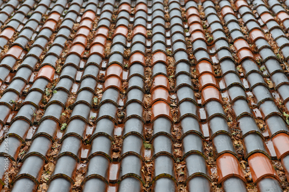 rows of wet roof tiles house close-up, background, texture