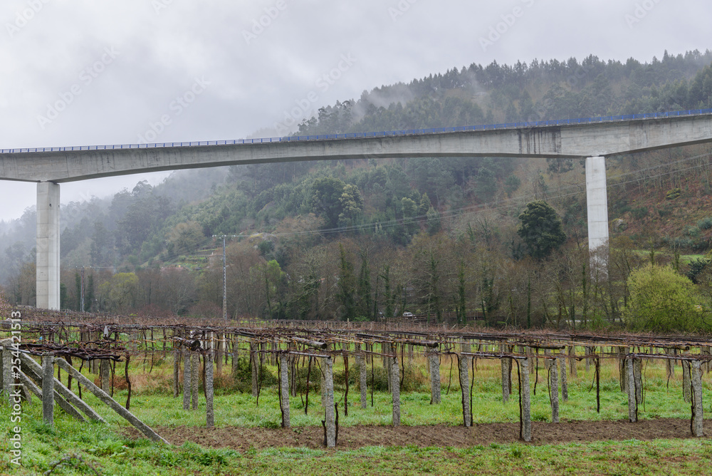 Fototapeta premium road bridge over vineyards in rainy weather