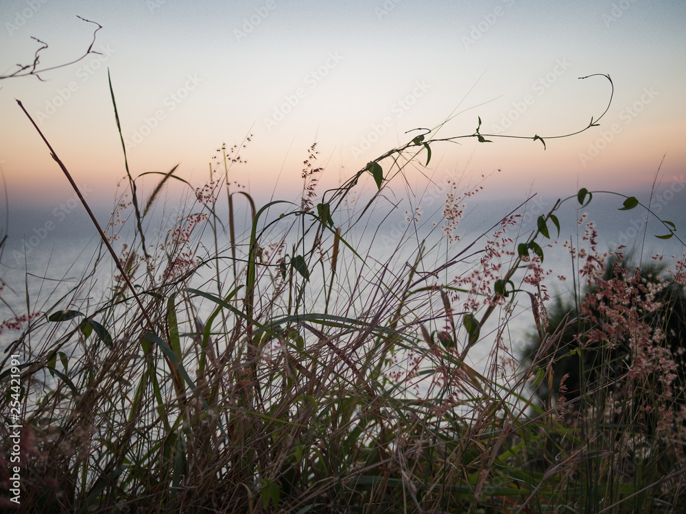 Flowers and a beautiful sunset on Thailand coast Flowers and a beautiful sunset on Thailand coast