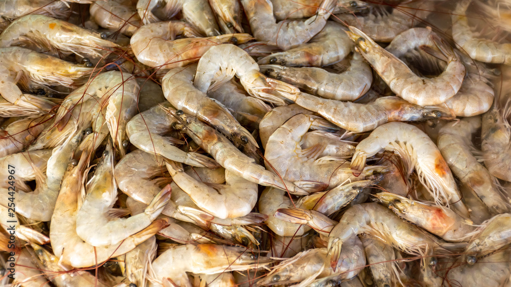 Fresh shrimp at seafood market, Thailand