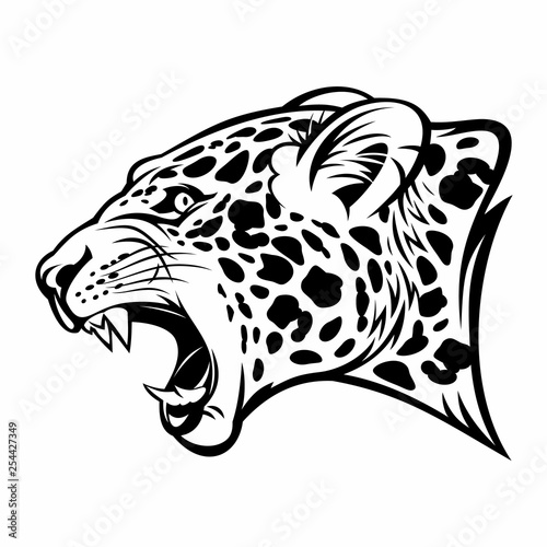 Fotografia, Obraz Growling jaguar vector image.