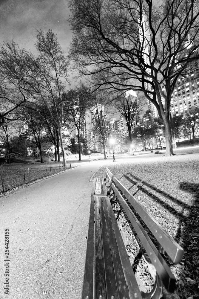 Night view of Central Park with bench, trees and skyscrapers, New York City Night view of Central Park with bench, trees and skyscrapers, New York City