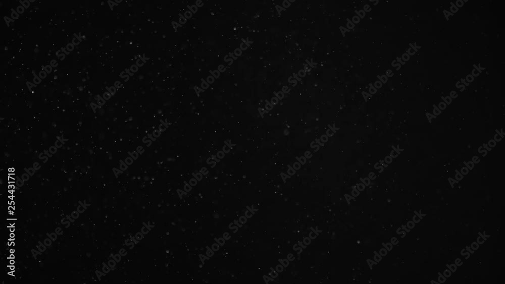Natural Organic Dust Particles Floating On Black Background. Dynamic Dust Particles Randomly Float In Space With Fast And Slow Motion. Shimmering Glittering White Particles With Bokeh In The Air. Natural Organic Dust Particles Floating On Black Background. Dynamic Dust Particles Randomly Float In Space With Fast And Slow Motion. Shimmering Glittering White Particles With Bokeh In The Air.