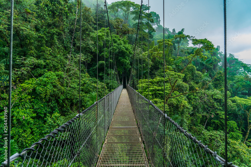 Fototapeta premium Costa Rica arenal hanging bridge