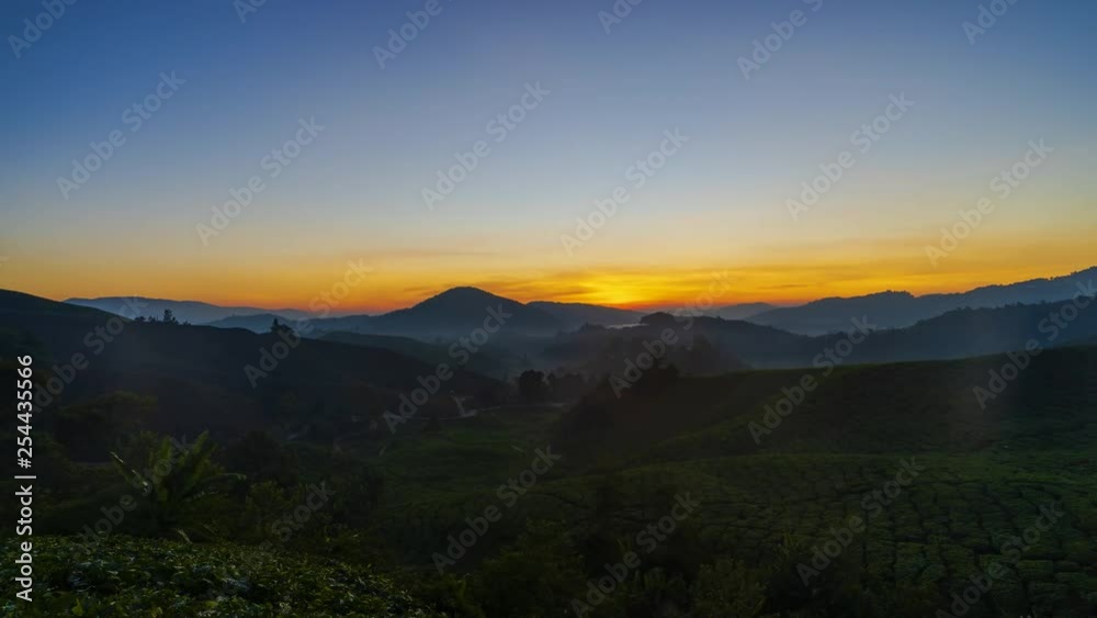 Timelapse Of Cameron Highland Tea Plantation During Sunrise.4k.Prores. Timelapse Of Cameron Highland Tea Plantation During Sunrise.4k.Prores.