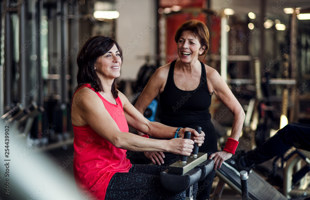 Fototapeta premium Two cheerful senior women in gym doing strength workout exercise.