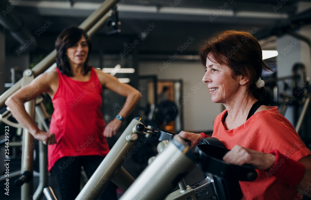 Two cheerful senior women in gym doing strength workout exercise. Two cheerful senior women in gym doing strength workout exercise.