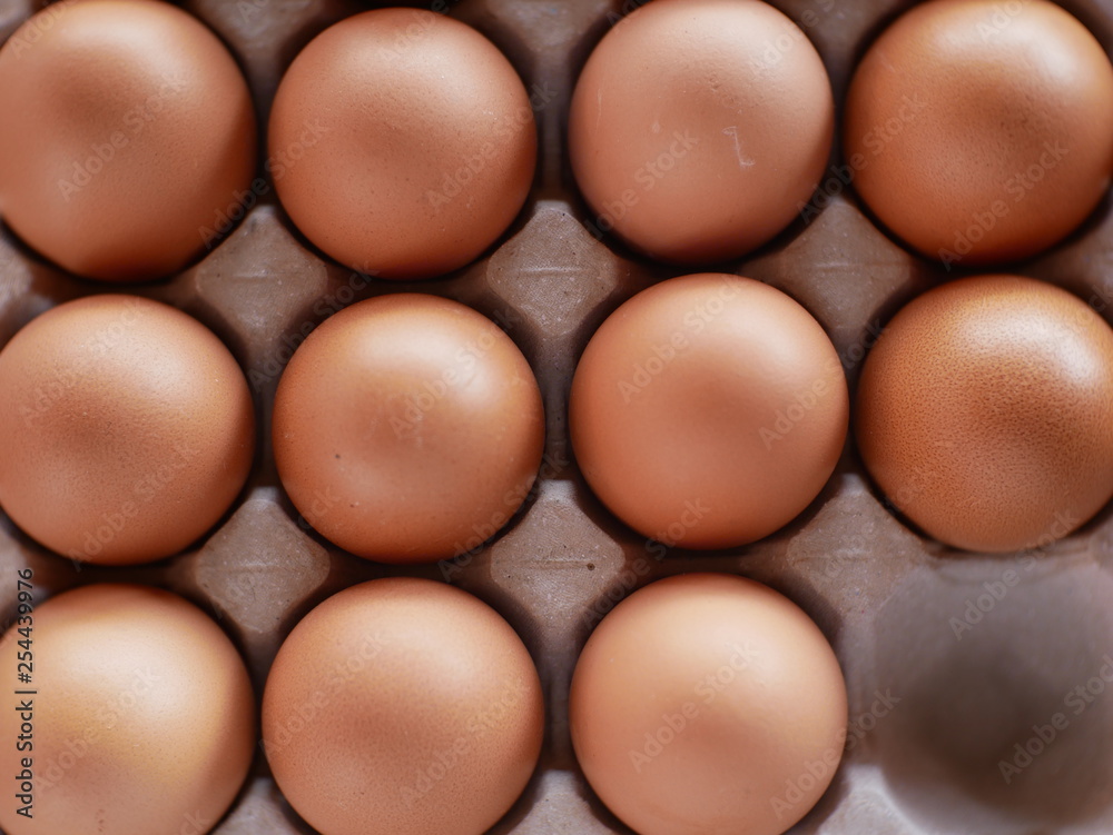 eggs in box eggs in box
