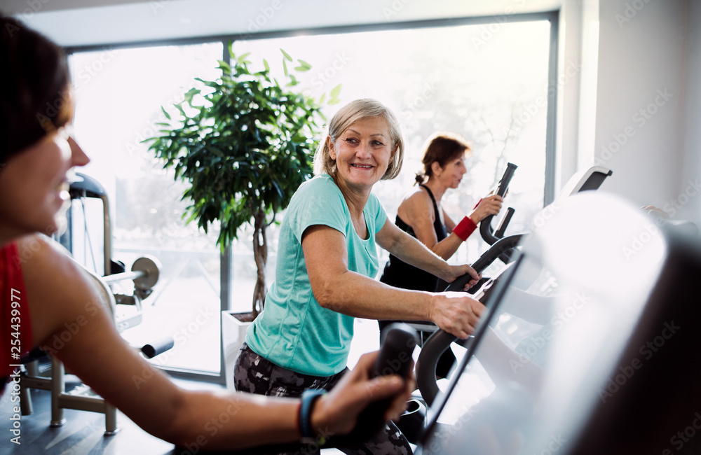 A group of seniors in gym with a young trainer doing cardio work out. A group of seniors in gym with a young trainer doing cardio work out.
