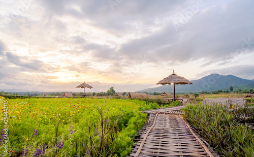 Natural  homestay ,Best Organic Farm Stays in Thailand. photo