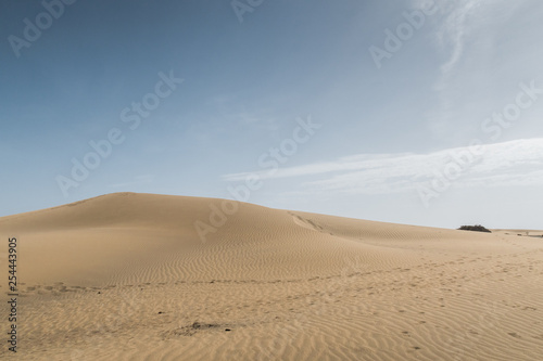 Desert landscape with Blue Sky and Wave pattern in sand  Spain