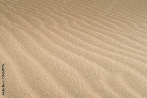 Desert landscape with Wave pattern and texture in the Sand, Spain © LS Visuals