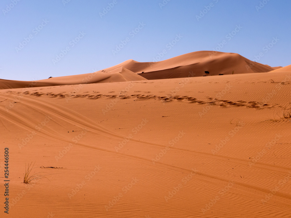 Sanddünen in der Wüste Sahara im Süden von Marokko. Die Sandwüste von Erg Chebbi