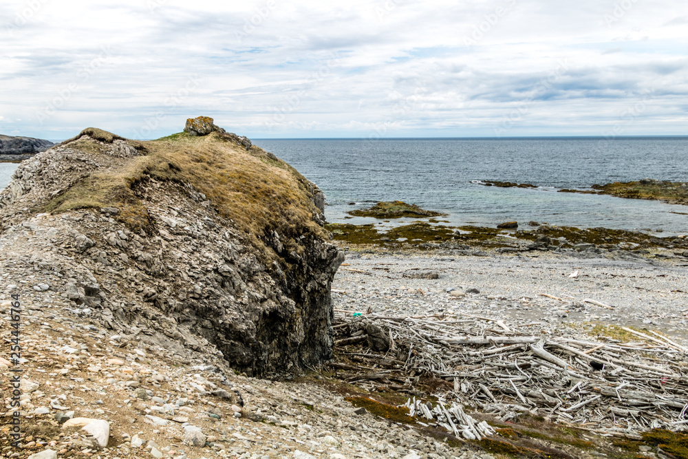 Limestone cliffs, rock and driftwood strewn beaches and flora in the hills in Bellbuns, Newfoundland, Canada