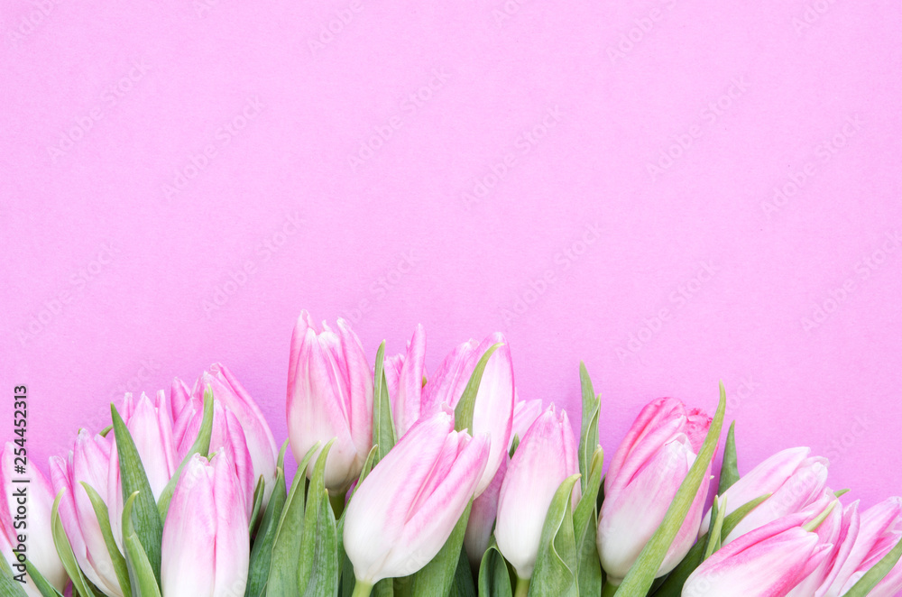 Floral background with tulips flowers. Flat lay, top view. Lovely greeting card with tulips for Mothers day, wedding or happy event - Image.