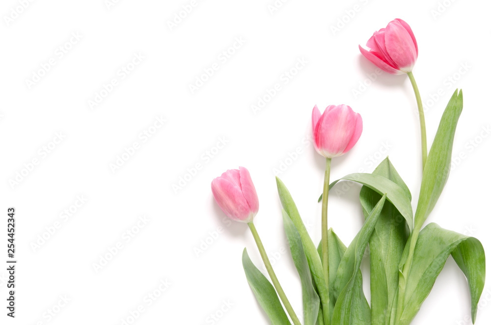 Floral background with tulips flowers on white background. Flat lay, top view. Lovely greeting card with tulips for Mothers day, wedding or happy event - Image. Floral background with tulips flowers on white background. Flat lay, top view. Lovely greeting card with tulips for Mothers day, wedding or happy event - Image.