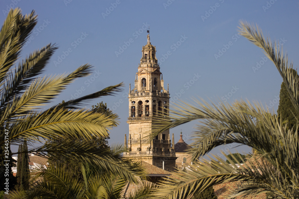 View of the tower of the mosque of Cordoba between palm trees.
