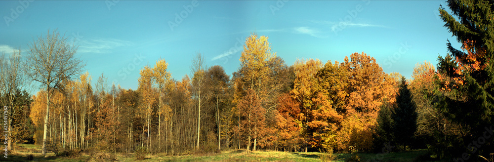 Goldener Oktober am Waldrand, bunte Laubbäume und blauer Himmel; Panoramabild Goldener Oktober am Waldrand, bunte Laubbäume und blauer Himmel; Panoramabild