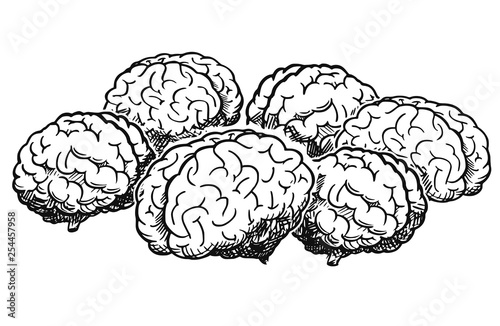 Cartoon drawing and conceptual illustration of group of human brains thinking together as team brainstorming metaphor.