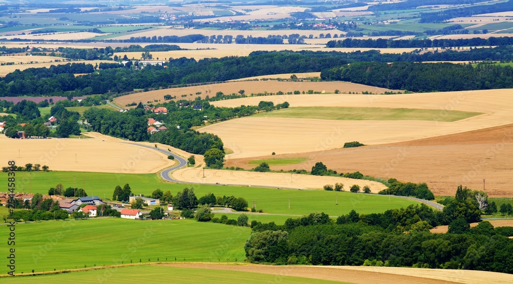 Fields in the summer. East Moravia. Europe.