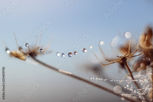 Close-up of abstract drops on a spider web with variable focus and blurred background in the rays of the rising sun. Blur and soft focus. photo