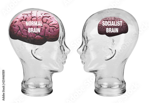 Fényképezés Socialist Brain and Normal Brain.