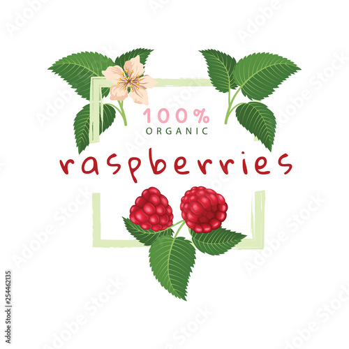 Vector raspberry label, can be used for jams, cosmetics and other packing design.