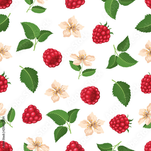 Seamless pattern with raspberry and blossom. Vector