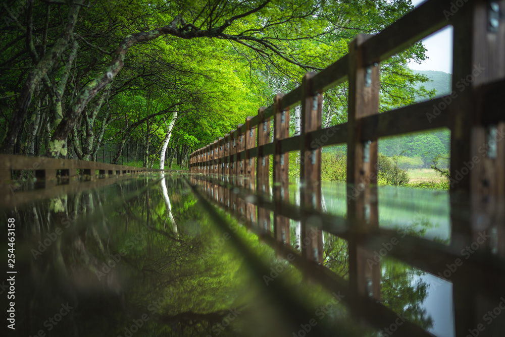 bridge in the forest with reflections bridge in the forest with reflections