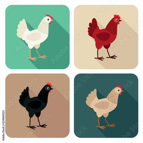 Chicken breeds icon set in flat style with long shadow