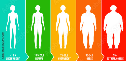 Creative vector illustration of bmi, body mass index infographic chart with silhouettes and scale isolated on transparent background. Art design health life template. Abstract concept graphic element