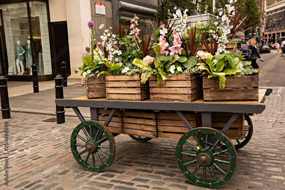 Carro con plantas y flores decorando la ciudad.