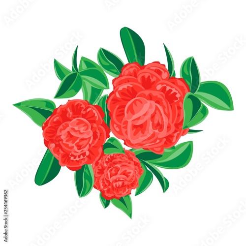 Red camellia icon. Cartoon of red camellia vector icon for web design isolated on white background