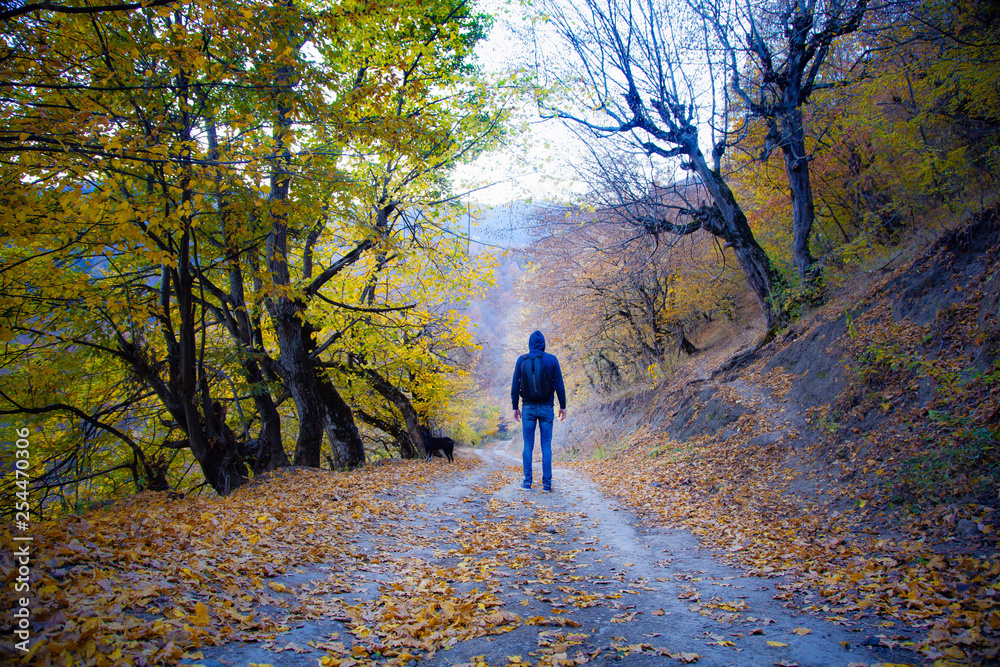 Fototapeta premium traveler in beautiful autumn forest
