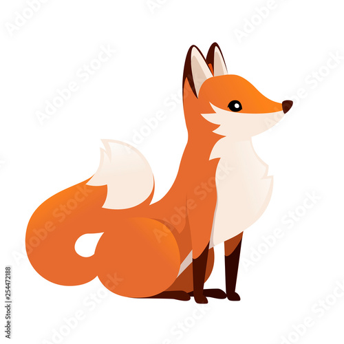 Cute fox. Onivorous mammals, family Canidae. Cartoon animal design. Flat vector illustration isolated on white background. Forest inhabitant. Wild animal with red fur