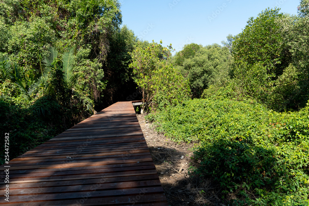 Wooden path in the center of the mangrove forest. Landmark of Park Nam Rayong.