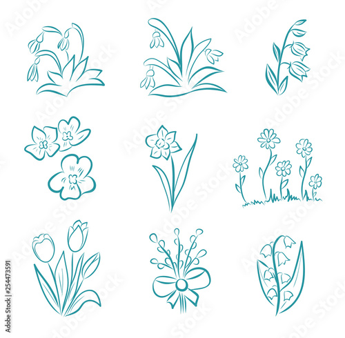 Spring and summer flower collection in doodle style with tulips, narcissus, willow, violet, snowdrop, bell, lily of the valley and cornflowers. Hand drawn vector illustration