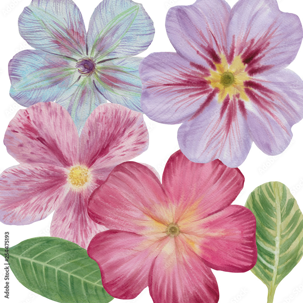 Fototapeta premium Seamless watercolor flowers pattern. Hand painted flowers of different colors
