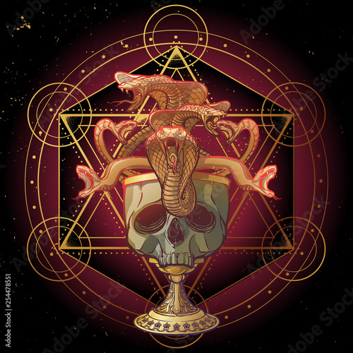 Skull made goblet filled with snakes. Occult symbols on background. Concept art for tattoo, tarot cards or occultism related project. EPS10 vector illustration