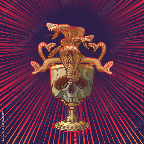 Skull made goblet filled with snakes. Occult symbols on background. Concept art for tattoo, tarot cards or occultism related project. EPS10 vector illustration