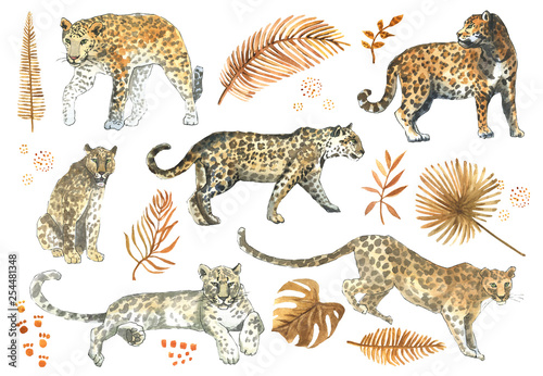 Leopard jaguar cat animal  set with tropical golden leaves