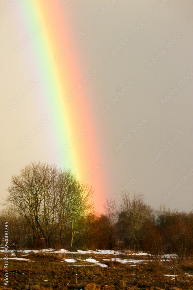 Bright colorful rainbow over the spring field