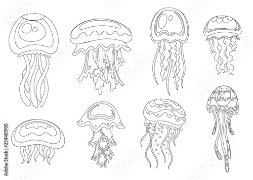Line style icon. Set of Sea jellyfish. Tropical underwater animal. Medusa aquatic organism, cartoon style design. Flat vector illustration isolated on white background