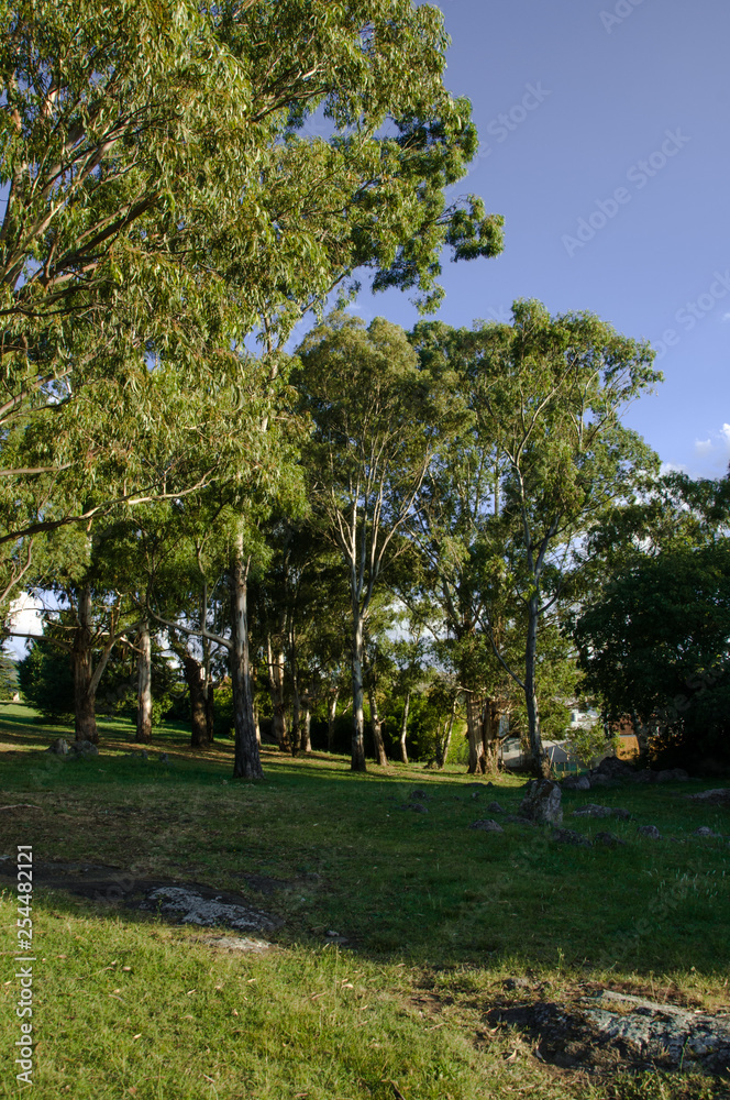 parque parque
