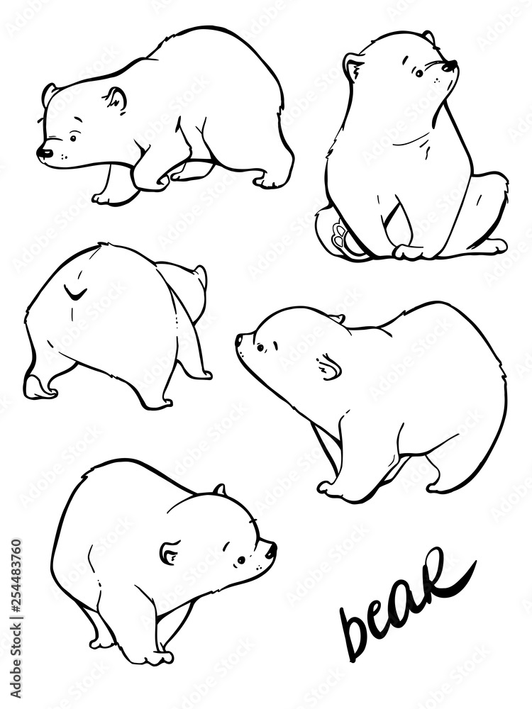 Fototapeta premium Hand drawing cute bear with a lot of variation.